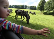 ZOO Dvůr Králové nad Labem